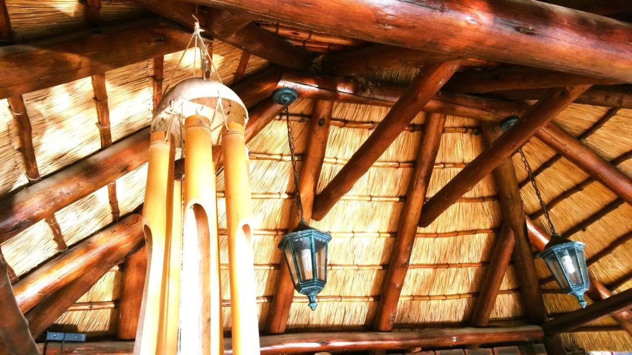 Old Mill Guest House Durban Ngoại thất bức ảnh